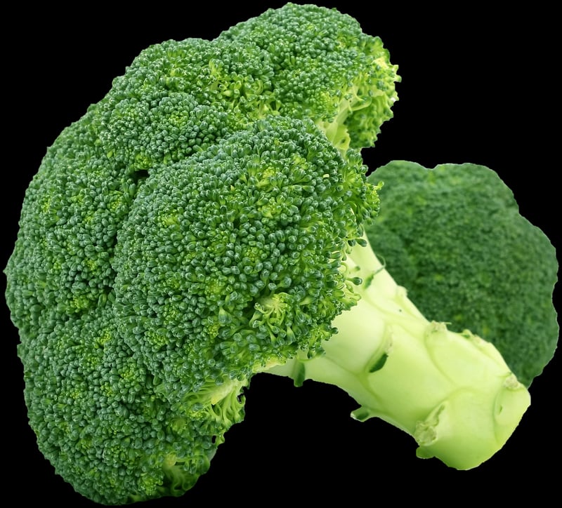 Summer Vegetables