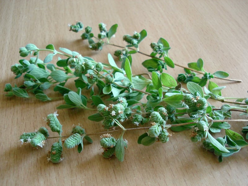 Herb Wall